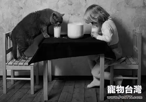 對於貓咪要定期吃體內驅蟲藥你怎麼看(1圖)-寵物台灣