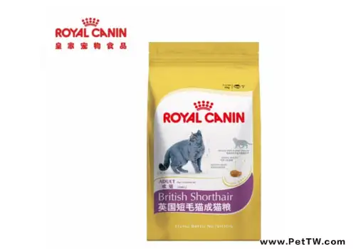 英短貓糧怎麼選擇?(1圖)-寵物台灣