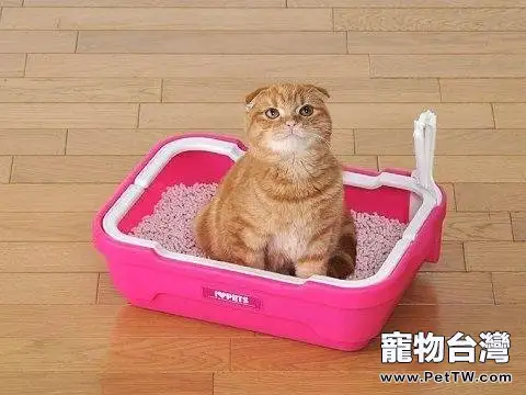 貓廁所該用什麼清理(1圖)-寵物台灣