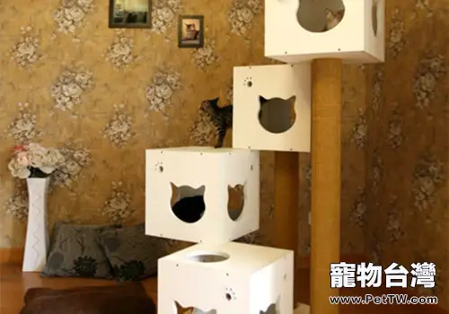 選擇貓爬架的四個注意事項(1圖)-寵物台灣