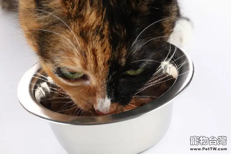 人類對貓咪的八個誤解(共3張圖片)-寵物台灣