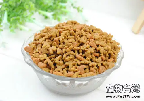 如何辨別貓糧好壞(1圖)-寵物台灣