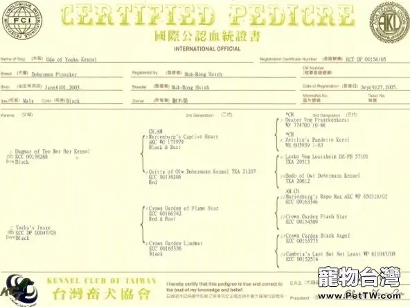 教大家看懂血統證書上的英文註明(1圖)-寵物台灣