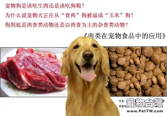 狗是肉食類動物還是以肉食為主的雜食類動物