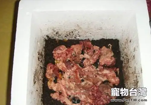 什麼是4D狗糧