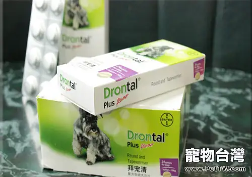 狗狗吃了驅蟲藥後的三種常見反應(1圖)-寵物台灣