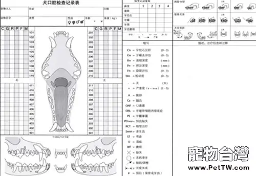 犬貓牙科基本知識