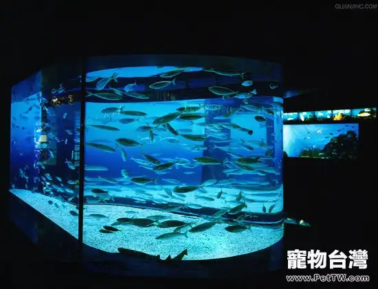 水族燈具有一些什麼作用