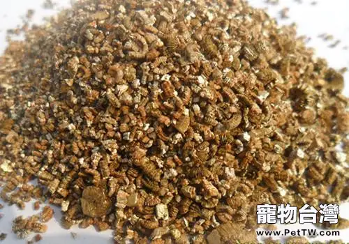 孵化龜鱉用砂如何消毒